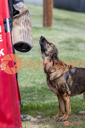 2025-K9Force-MayExams-6375