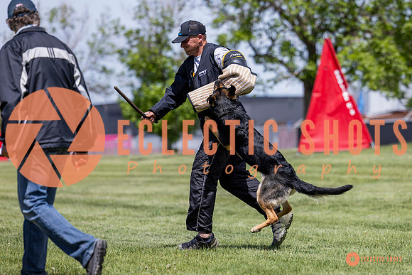 2025-K9Force-MayExams-7236