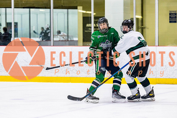 2022.11.12ShParkFlyers-FVTBirds-6991