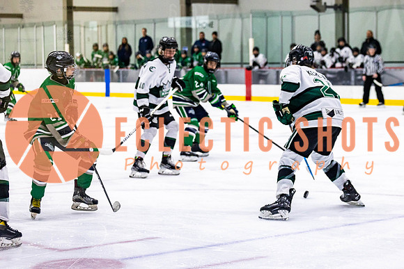 2022.11.12ShParkFlyers-FVTBirds-6975
