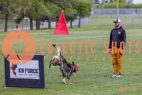 2025-K9Force-MayExams-5900