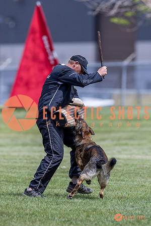2025-K9Force-MayExams-7375