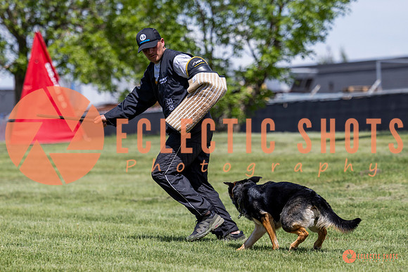 2025-K9Force-MayExams-7224