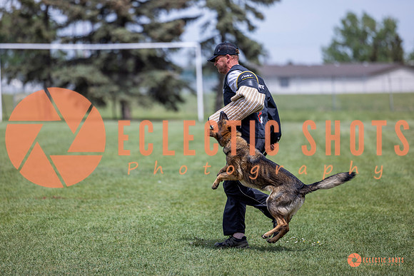 2025-K9Force-MayExams-6436
