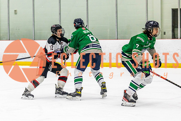 2022.11.11CalBisons-FVTBirds-3915