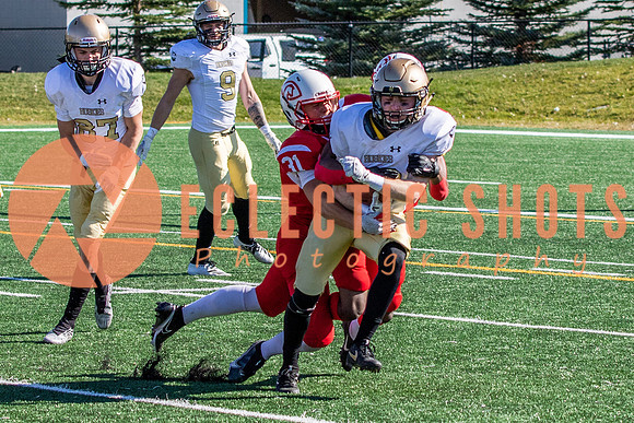 CalgaryColts-1113