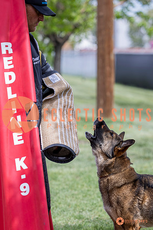 2025-K9Force-MayExams-6373
