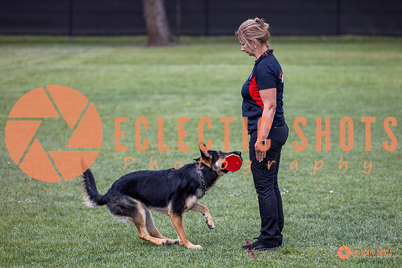2025-K9Force-MayExams-6192