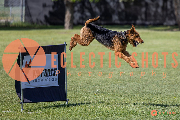 2025-K9Force-MayExams-7385