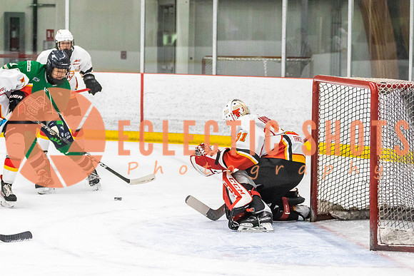 2022.11.09CalFlames-FVTBirds-0262