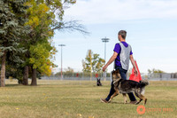 K9ForceCup2025-3939