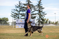 K9ForceCup2025-3967