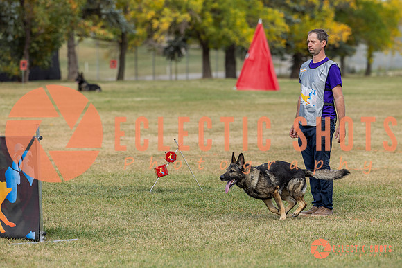K9ForceCup2025-3977