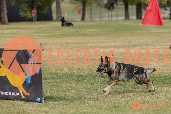 K9ForceCup2025-3981