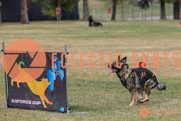 K9ForceCup2025-3983