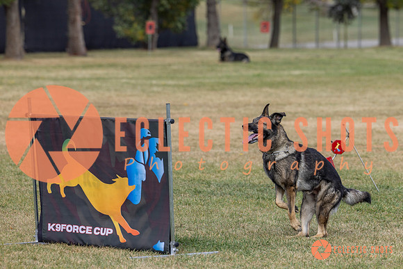 K9ForceCup2025-3984