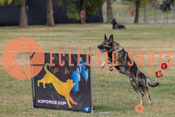 K9ForceCup2025-3986