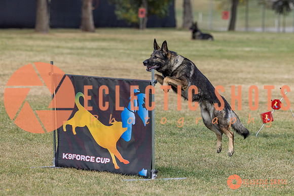 K9ForceCup2025-3987