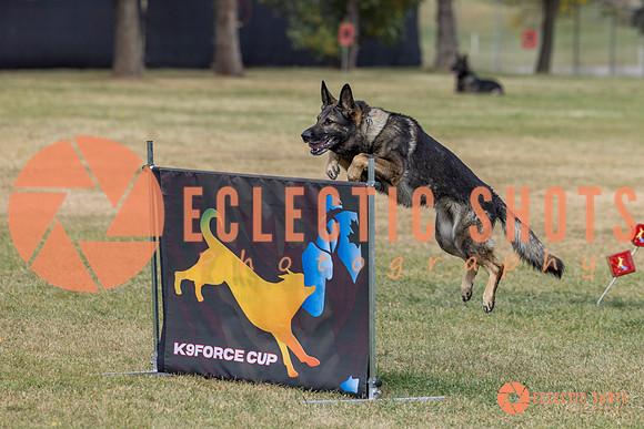 K9ForceCup2025-3988
