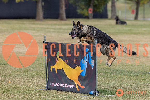 K9ForceCup2025-3989