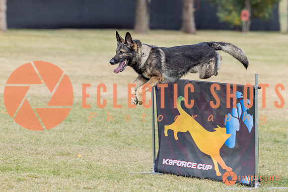 K9ForceCup2025-3993