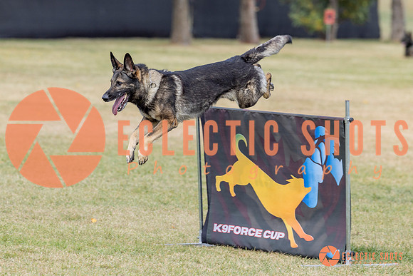 K9ForceCup2025-3994