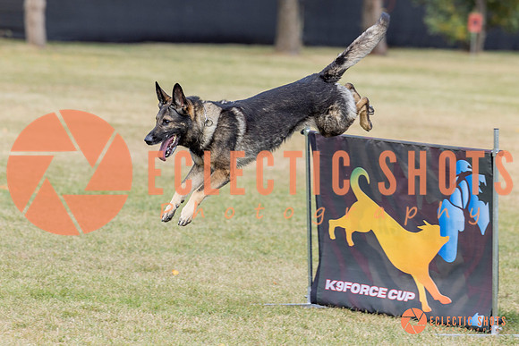 K9ForceCup2025-3995