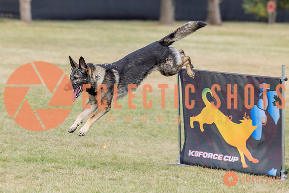 K9ForceCup2025-3996
