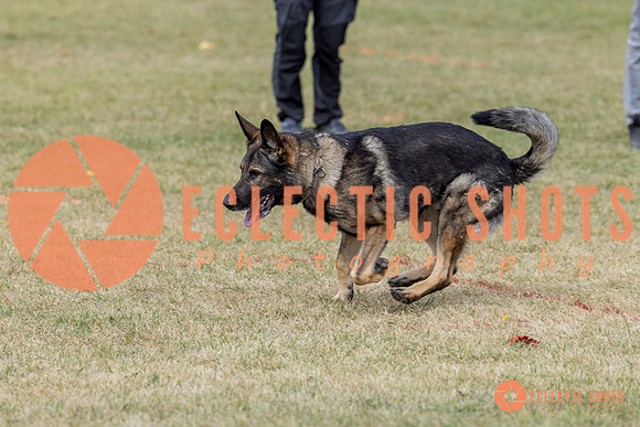 K9ForceCup2025-4014