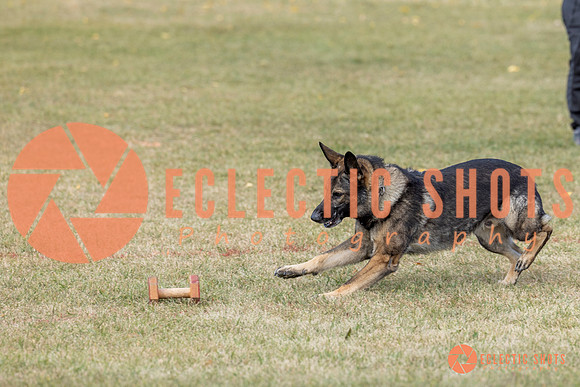 K9ForceCup2025-4018