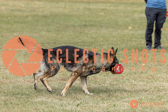 K9ForceCup2025-4038
