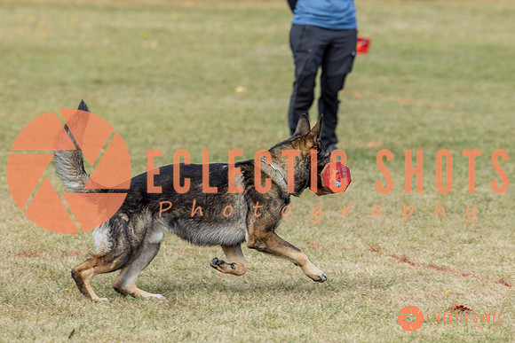 K9ForceCup2025-4042