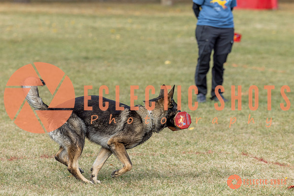 K9ForceCup2025-4040