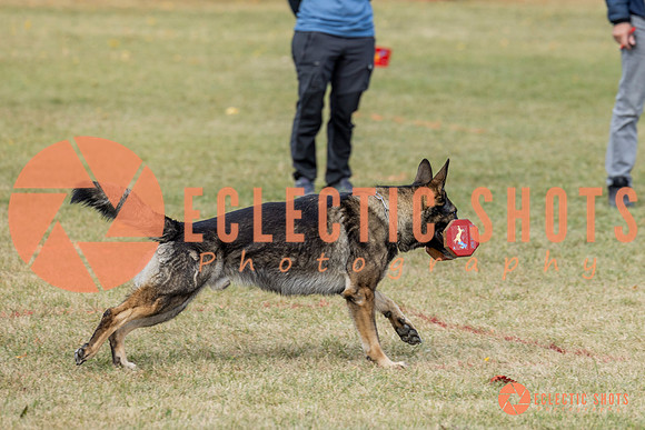 K9ForceCup2025-4044