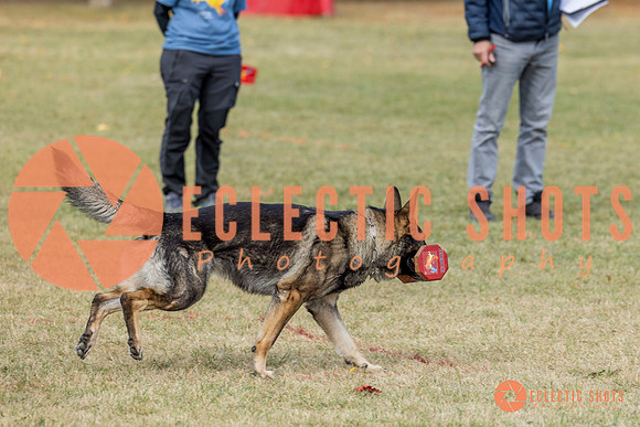 K9ForceCup2025-4046
