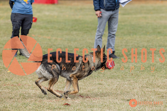 K9ForceCup2025-4048
