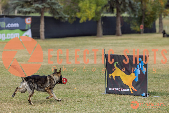 K9ForceCup2025-4064
