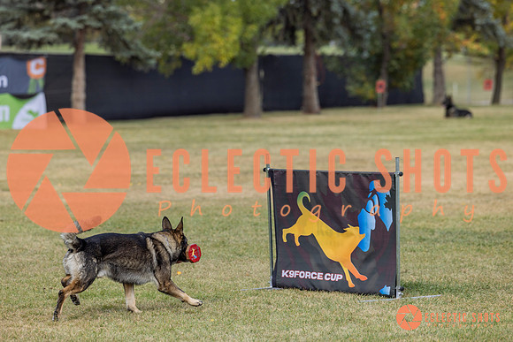 K9ForceCup2025-4066