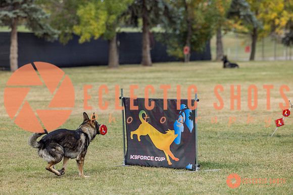 K9ForceCup2025-4068