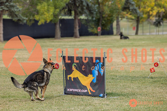K9ForceCup2025-4069