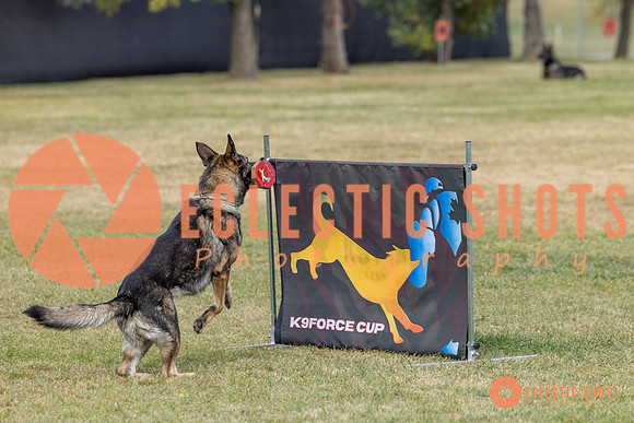 K9ForceCup2025-4070