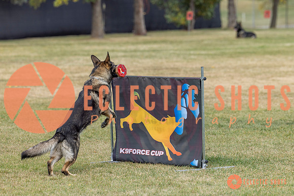 K9ForceCup2025-4071