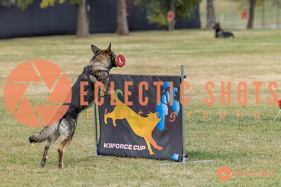 K9ForceCup2025-4072