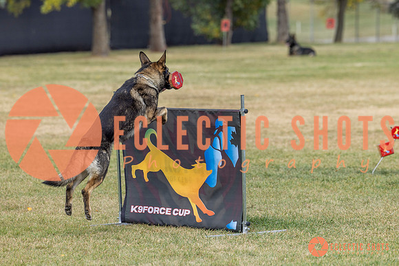 K9ForceCup2025-4073