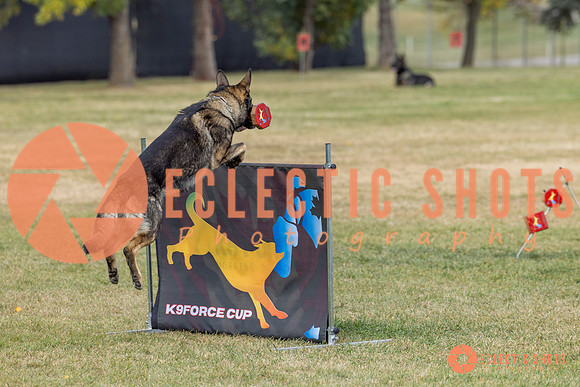 K9ForceCup2025-4074