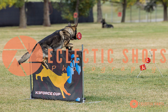 K9ForceCup2025-4076