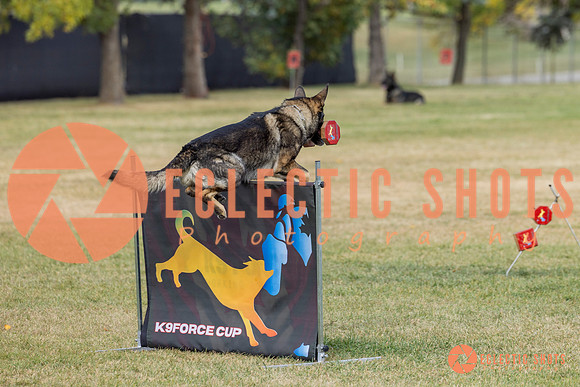 K9ForceCup2025-4077