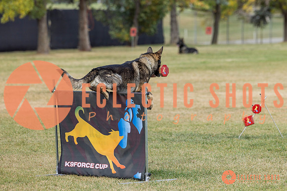 K9ForceCup2025-4078
