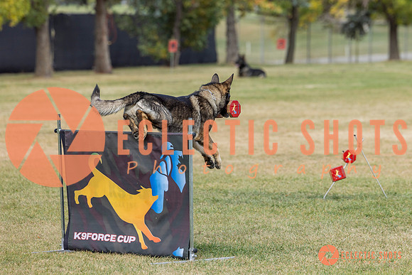 K9ForceCup2025-4079