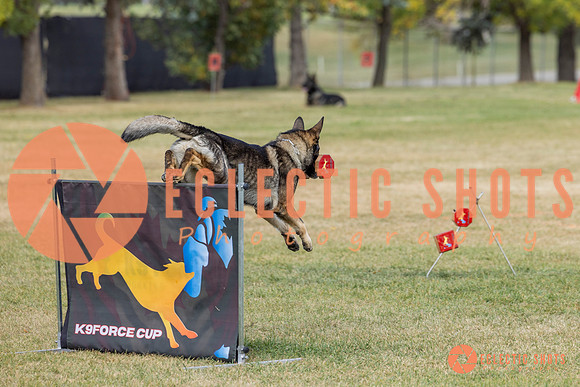 K9ForceCup2025-4080
